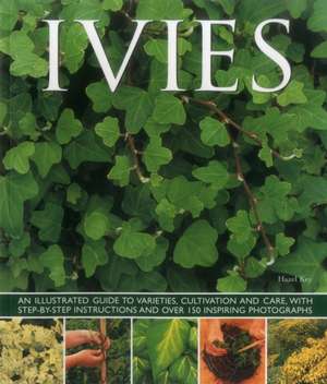 Ivies de Hazel Key