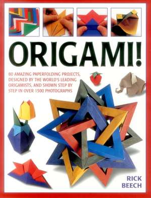 Origami! de Rick Beech