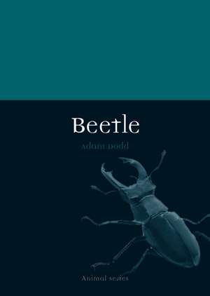 Beetle de Adam Dodd