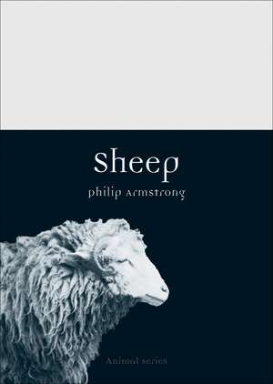 Sheep de Philip Armstrong