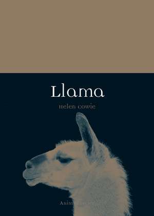 Llama de Helen Cowie