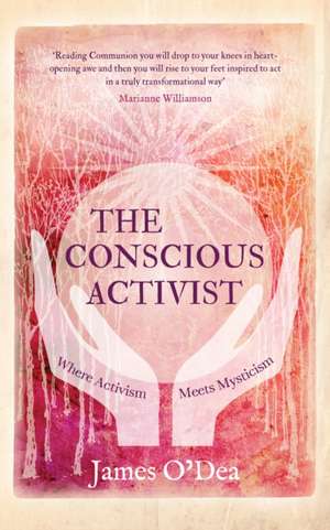 The Conscious Activist de James O'Dea