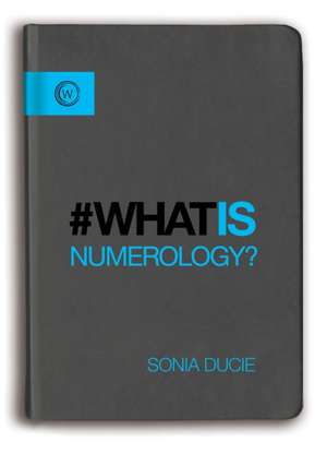 What Is Numerology? de Sonia Ducie