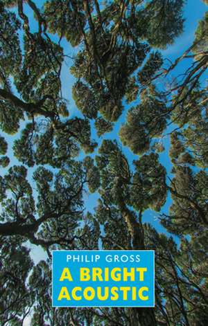 A Bright Acoustic de Philip Gross