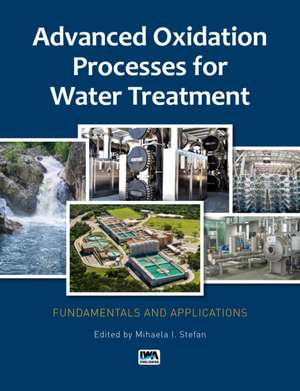 Advanced Oxidation Processes for Water Treatment de Stefan, Mihaela I.