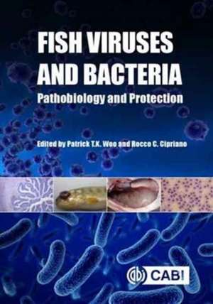 Fish Viruses and Bacteria de Patrick T K Woo