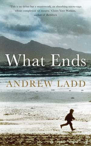 What Ends de Andrew Ladd