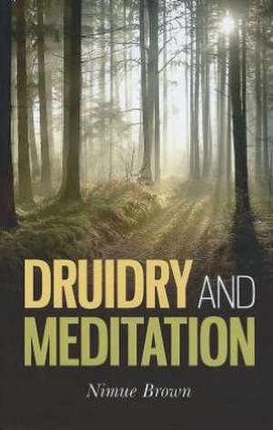 Druidry and Meditation de Nimue Brown