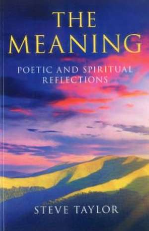 Meaning, The – Poetic and spiritual reflections de Steve Taylor