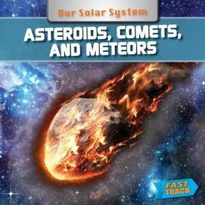 Asteroids, Comets, and Meteors de M. J. Knight