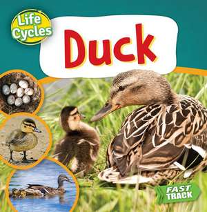 Duck de Nancy Dickmann