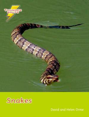 Snakes de David Orme