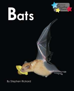 Bats de Rickard Stephen