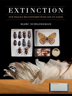 Extinction de M Schlossman