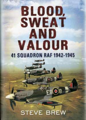 Blood Sweat and Valour: 41 Squadron RAF 1942-1945 de Steve Brew