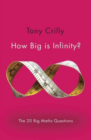 How Big Is Infinity?: The 20 Big Maths Questions de Tony Crilly