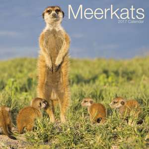 Meerkats Calendar 2017 de Avonside Publishing Ltd.