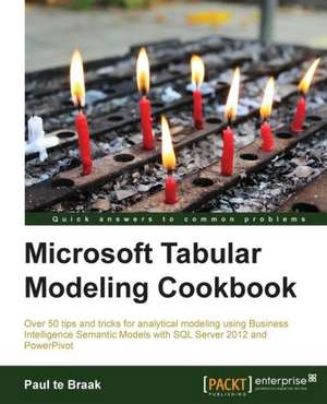 SQL Server and Power Pivot - Tabular Modeling Cookbook de Paul Te Braak