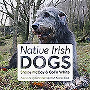 Native Irish Dogs de Shane McCoy