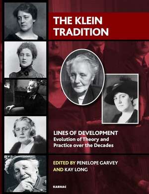 The Klein Tradition: Lines of Development—-Evolution of Theory and Practice over the Decades de Kay Long