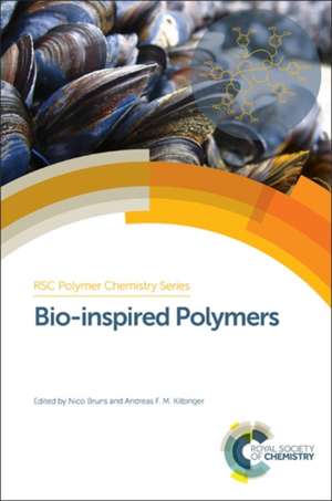 Bio-Inspired Polymers de Hans Borner