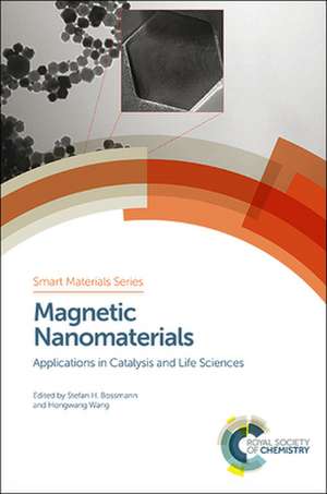 Magnetic Nanomaterials de Chikan, Viktor