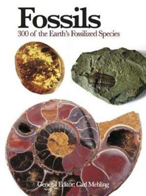 Fossils de Carl Mehling