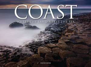 Coast de David Ross