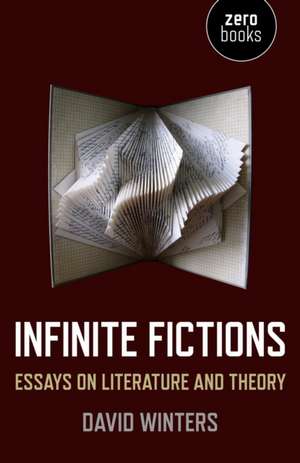 Infinite Fictions – Essays on Literature and Theory de David Winters