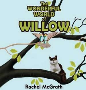 The Wonderful World of Willow de Rachel Mcgrath