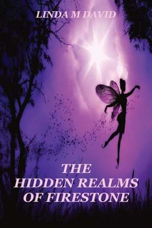 The Hidden Realms of Firestone de Linda M. David