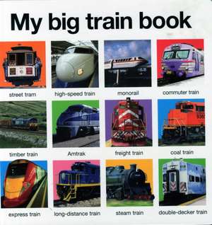 My Big Train Book de Roger Priddy