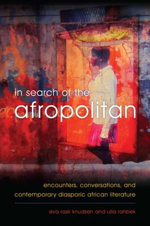 In Search of the Afropolitan de Eva Rask Knudsen