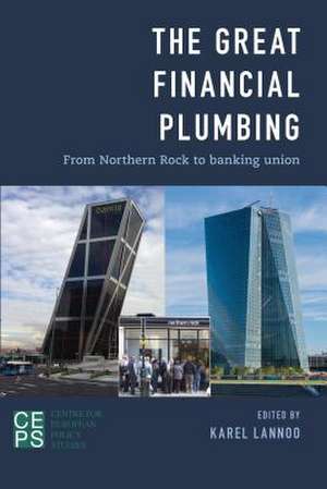 The Great Financial Plumbing de Karel Lannoo