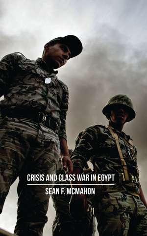 Crisis and Class War in Egypt: Social Reproduction, Factional Realignments and the Global Political Economy de Sean F. McMahon
