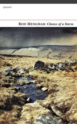 Chance of a Storm de Rod Mengham