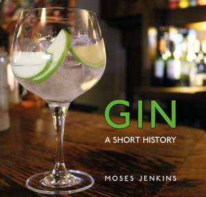 Gin: A Short History de Dr Moses Jenkins