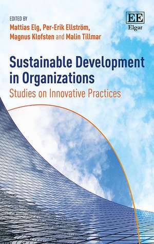 Sustainable Development in Organizations – Studies on Innovative Practices de Mattias Elg