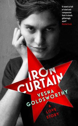 Iron Curtain de Vesna Goldsworthy