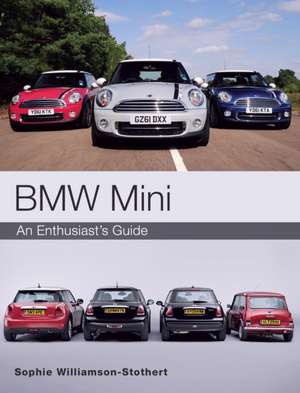 BMW Mini de Sophie Williamson-Stothert