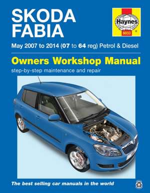 Skoda Fabia Petrol & Diesel (May `07–`14) 07 To 64 de Peter Gill