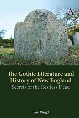 Gothic Literature and History of New England de Faye Ringel