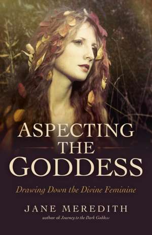 Aspecting the Goddess – Drawing Down the Divine Feminine de Jane Meredith