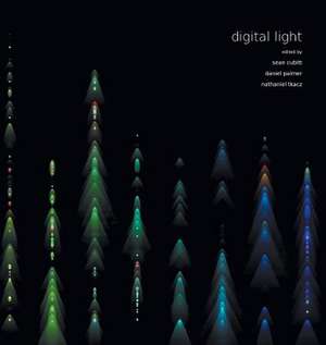 Digital Light de Sean Cubitt