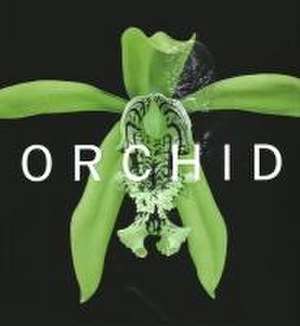 ORCHID de David A. Berry