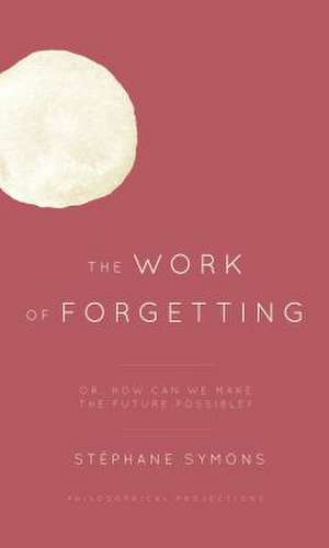 Work of Forgetting de Stephane Symons