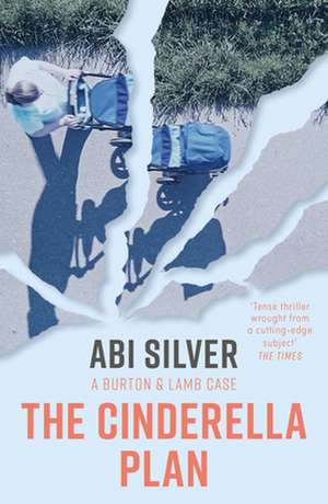 The Cinderella Plan de Abi Silver