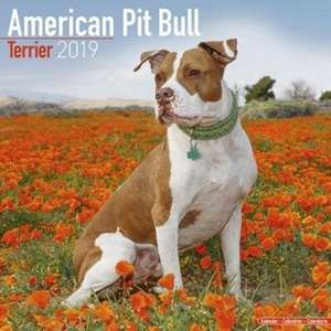 American Pit Bull Terrier Calendar 2019 de Avonside Publishing Ltd