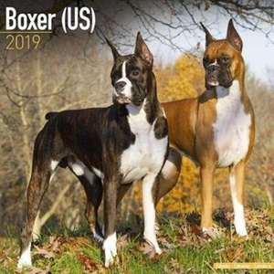 Boxer (US) Calendar 2019 de Avonside Publishing Ltd