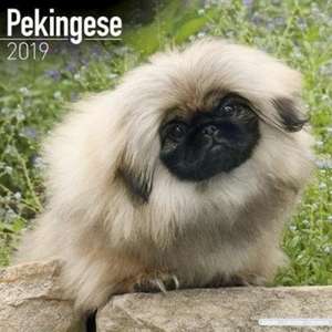 Pekingese Calendar 2019 de Avonside Publishing Ltd